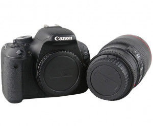 купить байонетную и заднюю крышку Canon EF и EF-S системы