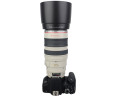 бленда для объектива Canon EF 100-400mm f/4.5-5.6L IS USM
