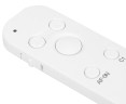 белый пульт Sony RMT-P1BT аналог