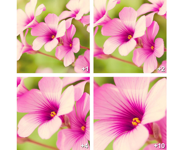 купить макрофильтры 74 мм +1 +2 +4 +8 +10