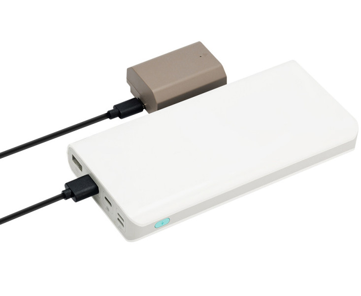 Sony NP-FZ100 с зарядным портом Type-C